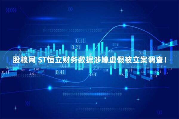 股粮网 ST恒立财务数据涉嫌虚假被立案调查！