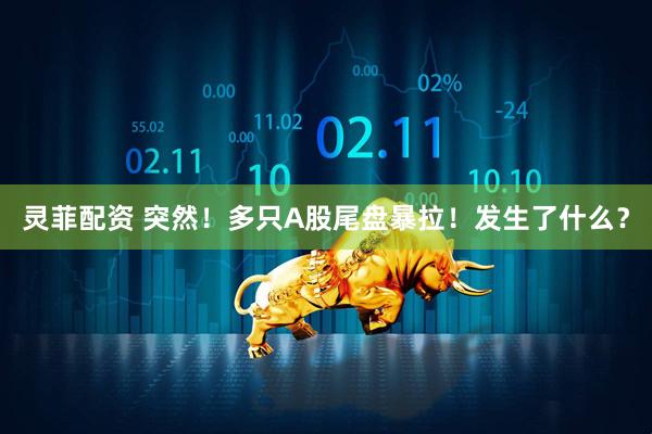 灵菲配资 突然！多只A股尾盘暴拉！发生了什么？