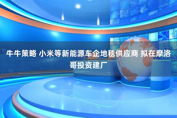 牛牛策略 小米等新能源车企地毯供应商 拟在摩洛哥投资建厂