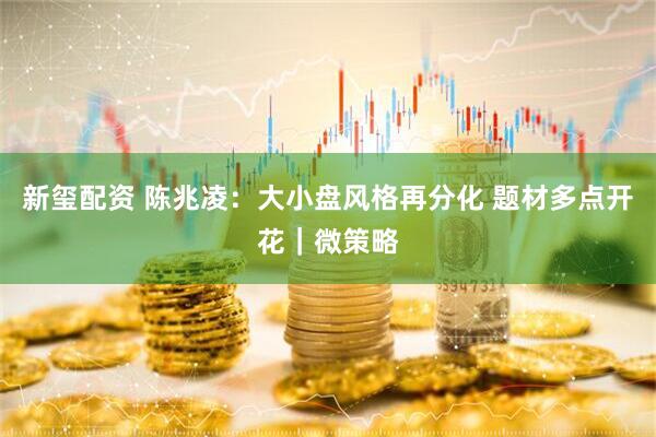 新玺配资 陈兆凌:大小盘风格再分化 题材多点开花|微策略