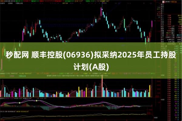 秒配网 顺丰控股(06936)拟采纳2025年员工持股计划(A股)