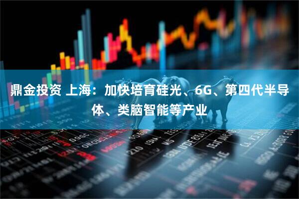鼎金投资 上海：加快培育硅光、6G、第四代半导体、类脑智能等产业