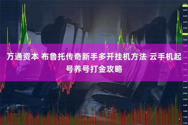 万通资本 布鲁托传奇新手多开挂机方法 云手机起号养号打金攻略